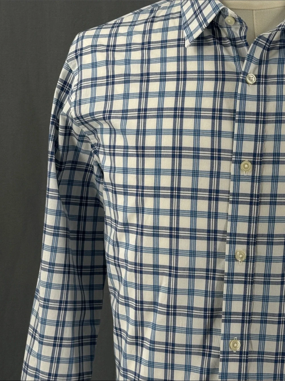 Banana Republic Blue & White Plaid Button-Up Shirt